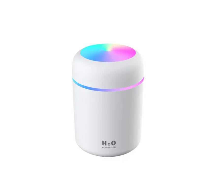 Air Purifying Humidifier